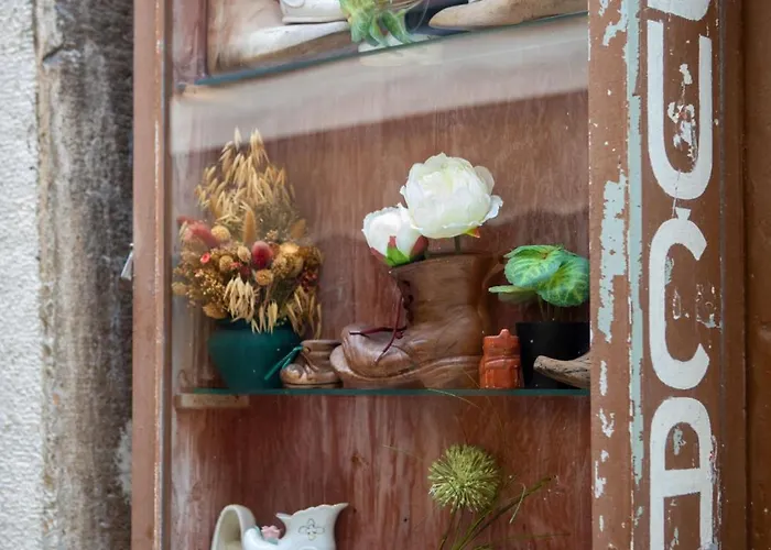 Casa Kaligari History Old Town Rovinj